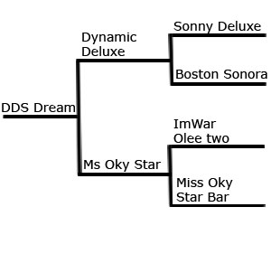 DDS Dream